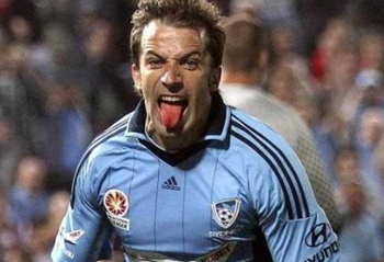 若能采用 若能采用